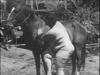 farfalla amante uomini vecchi nudi